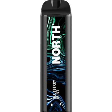 north 5000 - blueberry mint